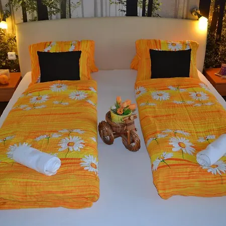 Strba Štrbské Pleso