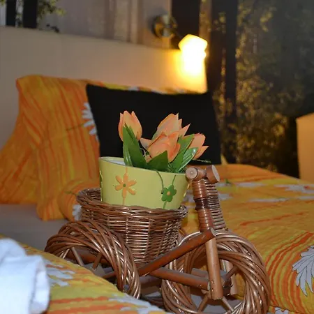 Guest house Strba 3*